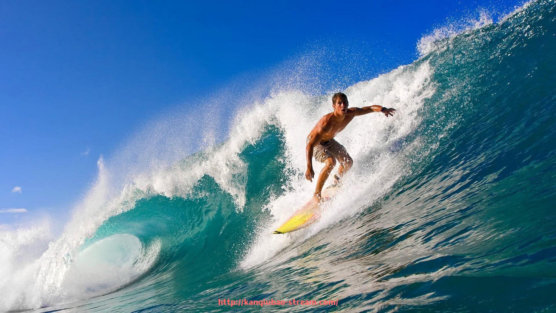 看球宝-世俱杯赛事标签全景整理，内容分类助力快速查找